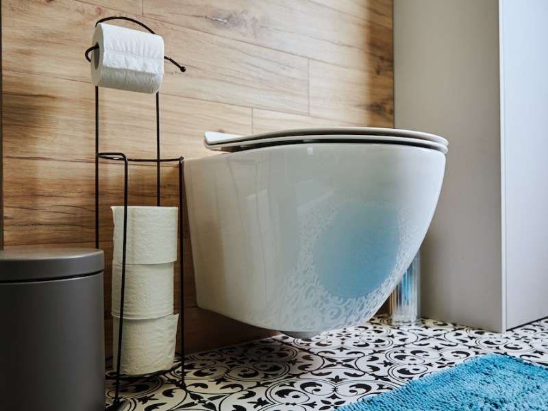 The Hidden Costs of a Misplaced Toilet in&nbsp;Vastu