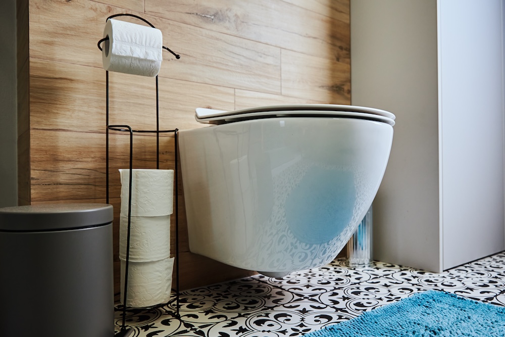 The Hidden Costs of a Misplaced Toilet in Vastu